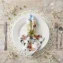 colette avocado - pastel butterly - party burst.webp