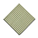 Contrast Edge Garden Checkered Napkin