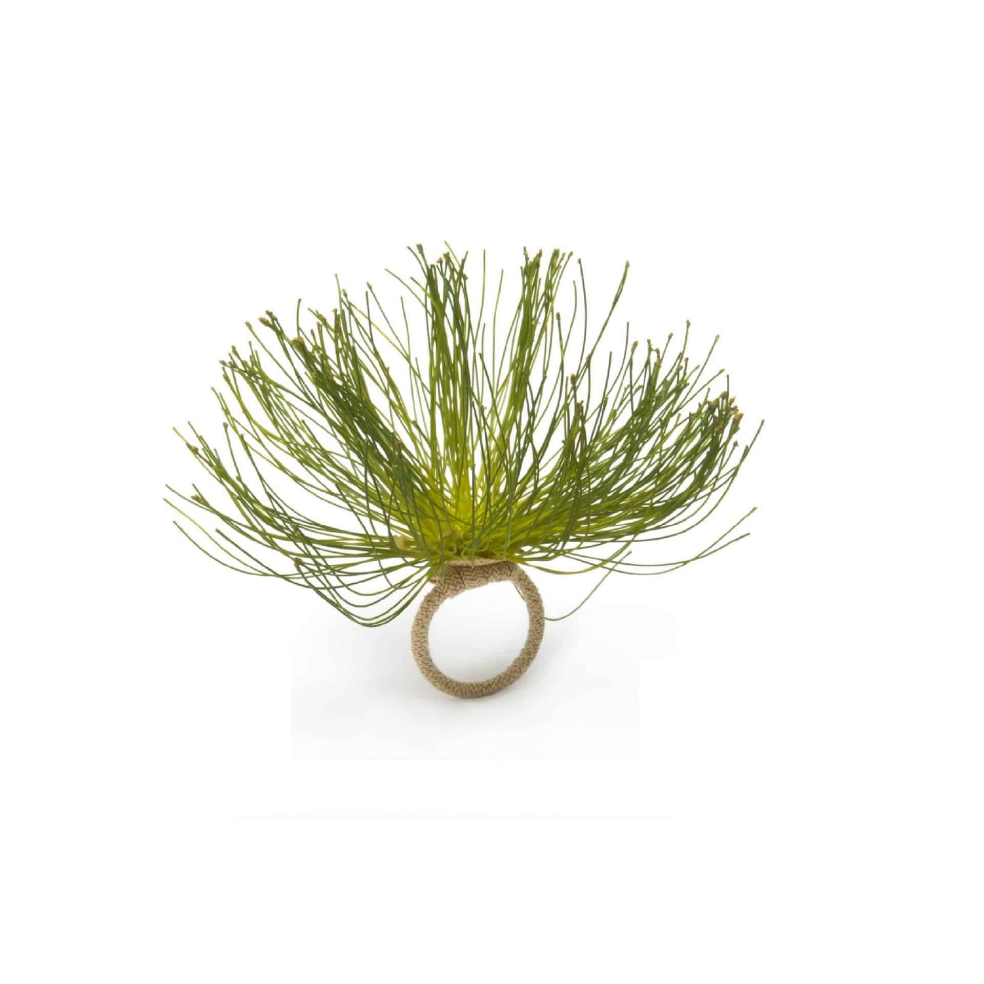 Cypress Bloom Napkin Ring